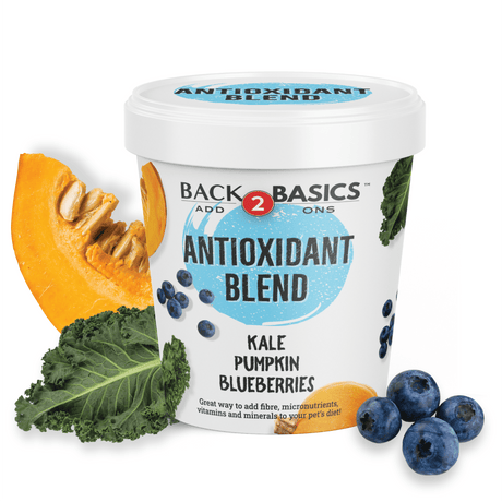 Back 2 Basics Antioxidant Blend in a white tub, featuring kale, pumpkin, and blueberries images, promotes fiber and antioxidants for pet health.