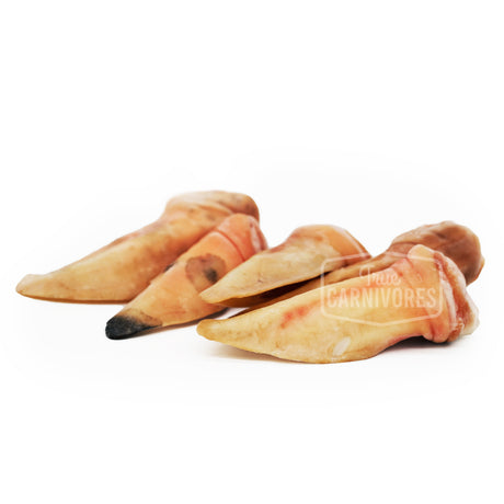 Back 2 Basics Lamb Ear Chew 10 Pack