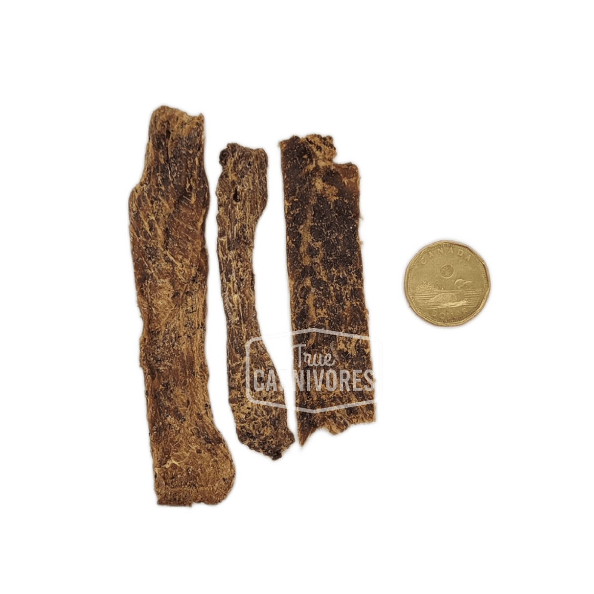 One Ingredient Dehydrated Beef Brisket chews beside a loonie for scale; thin, nutrient-rich pet treats from True Carnivores, ideal for training or rewarding.