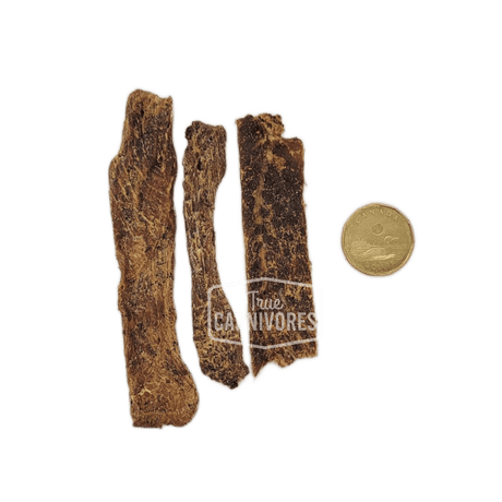 One Ingredient Dehydrated Beef Brisket chews beside a loonie for scale; thin, nutrient-rich pet treats from True Carnivores, ideal for training or rewarding.