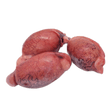 Bison Testicles
