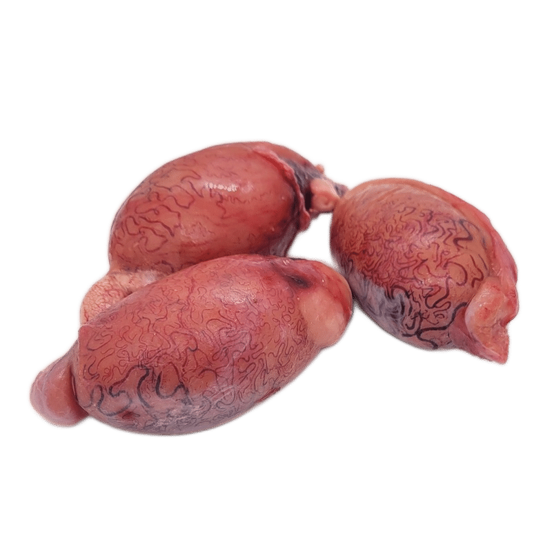 Bison Testicles