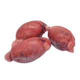 Bison Testicles