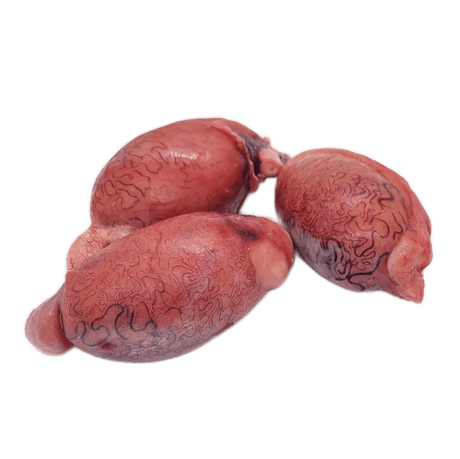 Bison Testicles