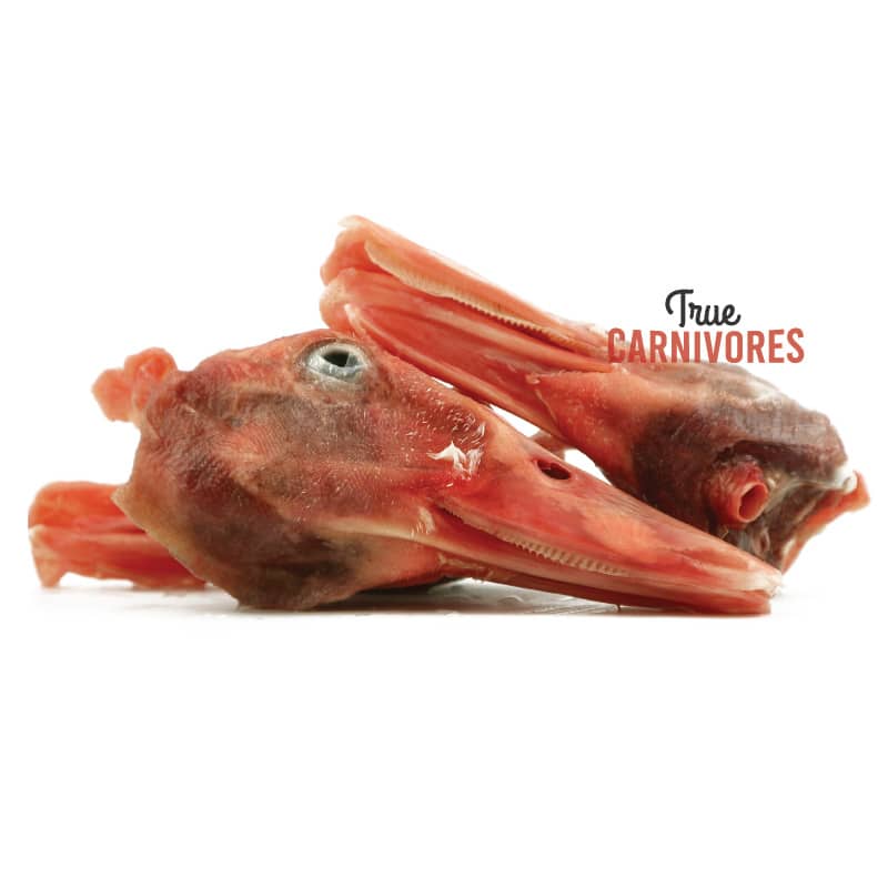 duck heads