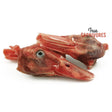 duck head