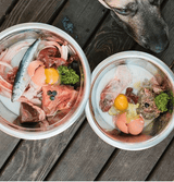 Stainless-steel pet bowls with raw meat, bones, fish, eggs, and vegetables. Features Back 2 Basics Lamb Liver (Raw & Frozen Cubes) - 1lb Portion Pack.