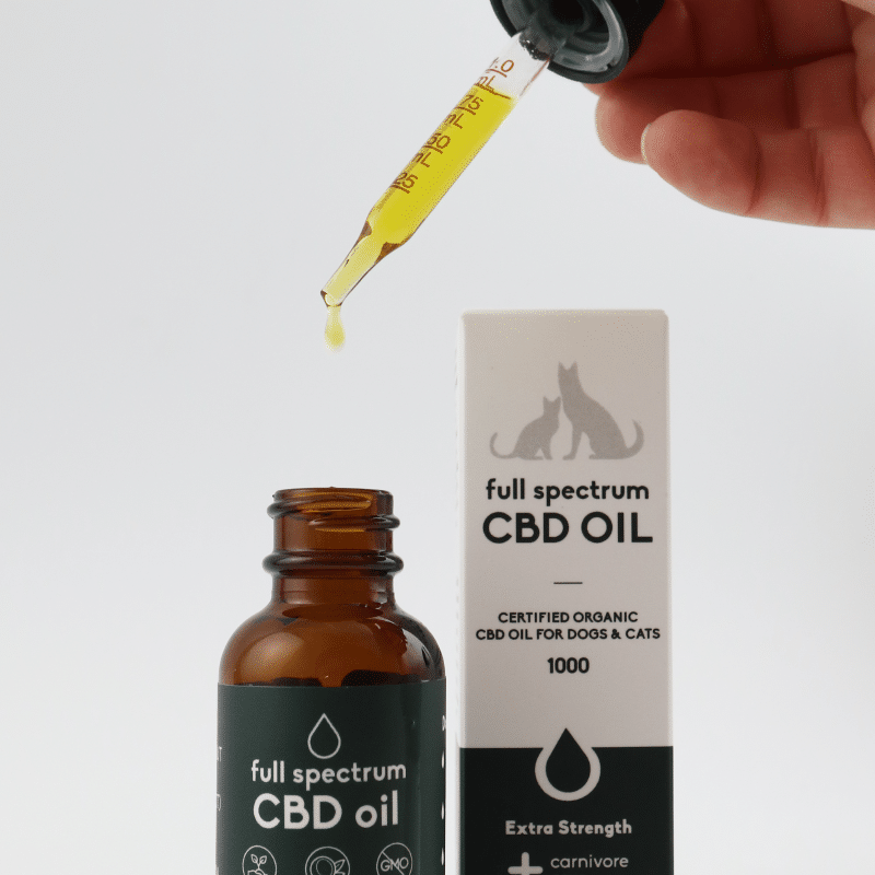 Carnivore Care Organic Full Spectrum Hemp Oil for pets, featuring a brown dropper bottle with a dropper and white box labeled for dogs and cats, 1000mg.