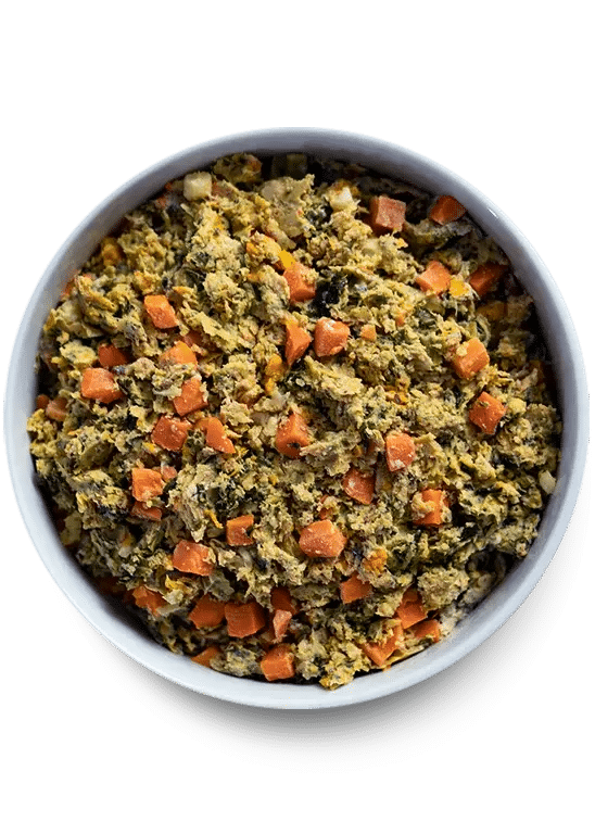 Open Farm Gently Cooked Harvest Chicken Recipe in a white bowl, featuring a scrambled mix of carrots, leafy greens, and moist vegetable mash for dogs.