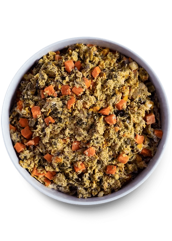 Open Farm Gently Cooked Homestead Turkey Recipe in a white bowl, featuring shredded turkey with diced carrots, resembling moist dog food for adult dogs.