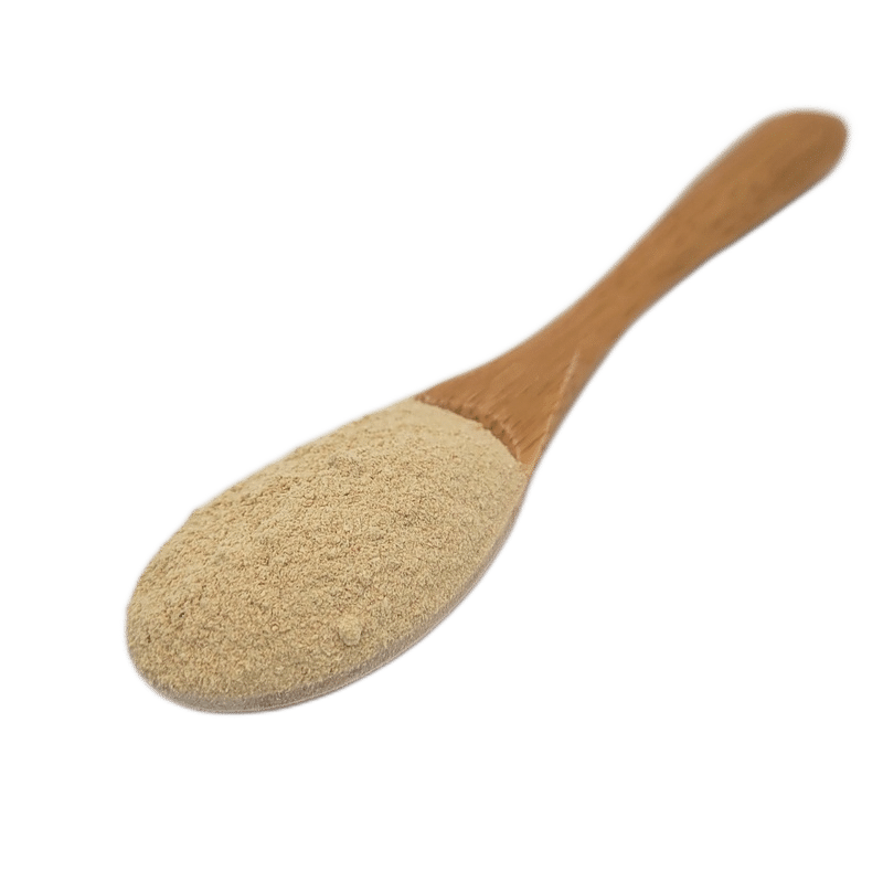 Wooden spoon with Carnivore Care Green-Lipped Mussel powder, recommended for joint pain and arthritis relief in dogs, available in a 250g package.