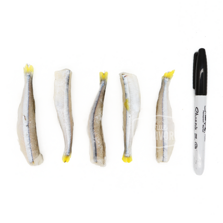 Back 2 Basics Freshwater Smelts