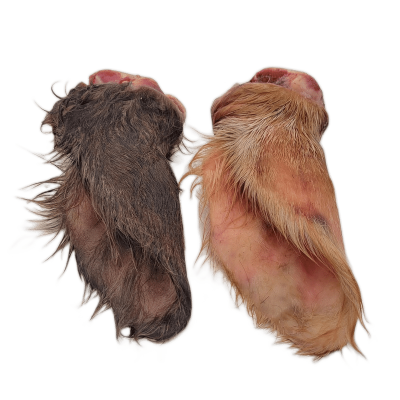 Raw Grass-Fed Cow Ears