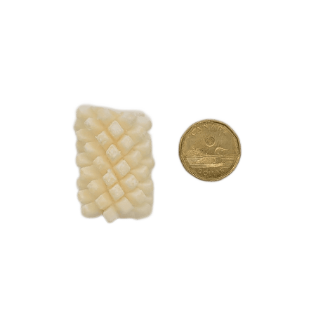 Back 2 Basics Calamari Florets 500g, small scored squid piece beside a loonie for scale, showcasing its compact size and pet-friendly design.