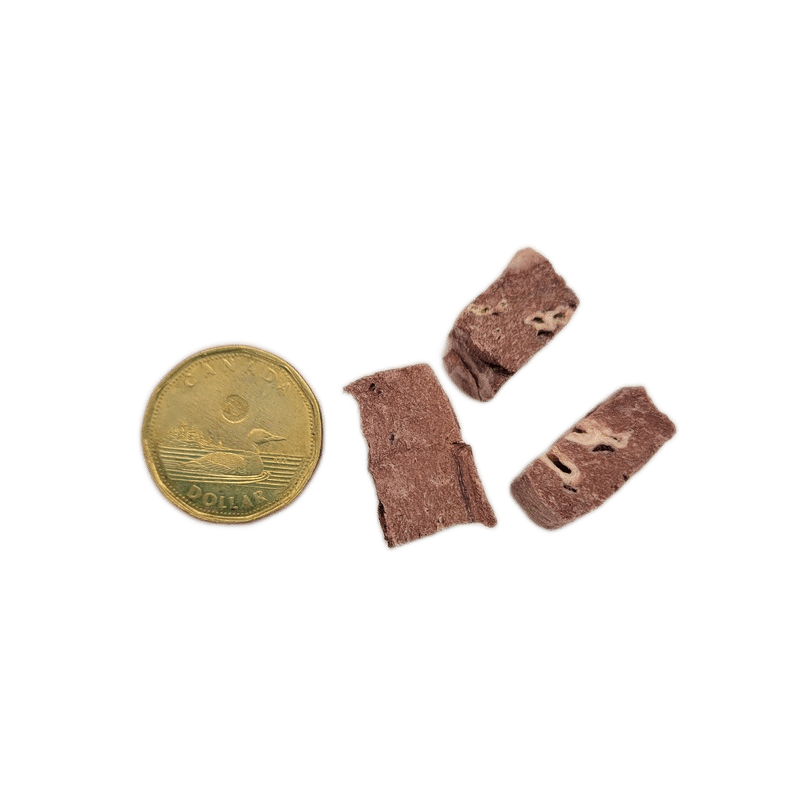 One Ingredient Lamb Lung Bites 250g shown next to a loonie coin for scale; bite-sized, freeze-dried lamb lung pieces for pet treats.