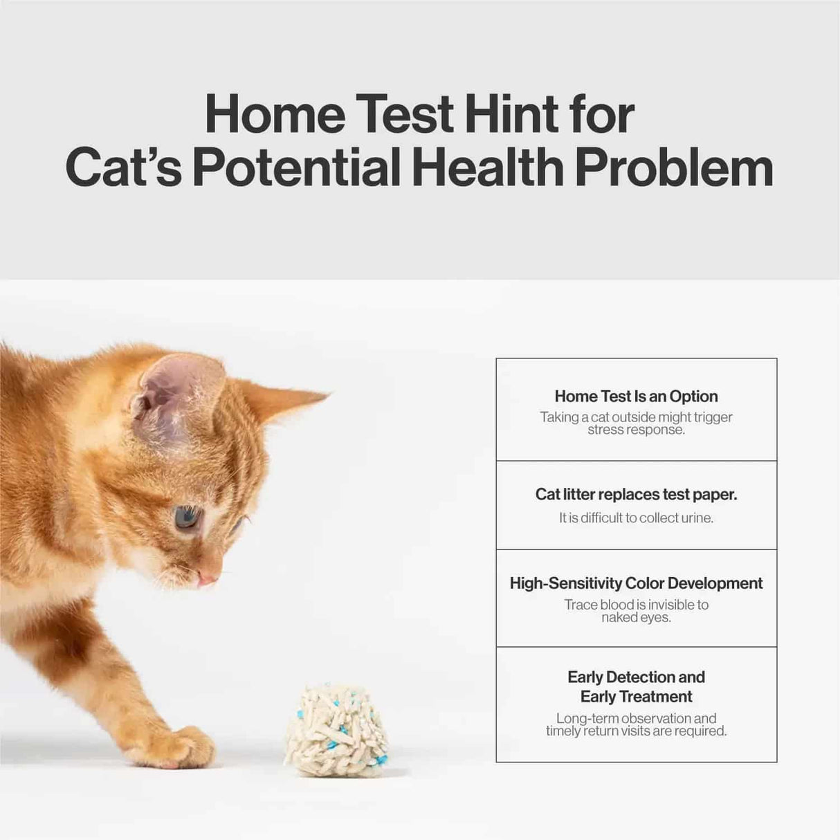 Pidan Tofu Litter Original 2.4kg: Ginger cat interacts with litter ball, illustrating home health tests for detecting urinary issues with blood-detecting particles.