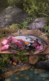 Ziwi Peak Mackerel & Lamb for Cats featured in a rustic seafood and organ meats platter outdoors, highlighting its air-dried, nutrient-rich ingredients.