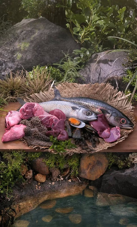 Ziwi Peak Mackerel & Lamb for Cats featured in a rustic seafood and organ meats platter outdoors, highlighting its air-dried, nutrient-rich ingredients.