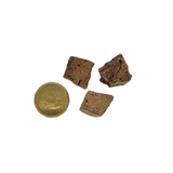 One Ingredient Lamb Liver Bites 100g shown with a one-dollar coin for scale, highlighting freeze-dried, bite-sized pieces of lamb liver treats for pets.