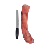 Back 2 Basics Bull Pizzle - Two Pack: A piece of raw beef pizzle next to a marker for size comparison, highlighting its use as a chewy dog treat.