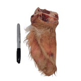 Raw Grass-Fed Cow Ears shown with fur and cartilage, alongside a Sharpie for scale, highlight their chewy texture and natural fiber benefits for pets.