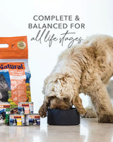 K9 Natural Canned Food for Dogs with a curly-coated dog eating from a bowl; visible lamb and salmon dry food bag and wet food tins beside it.