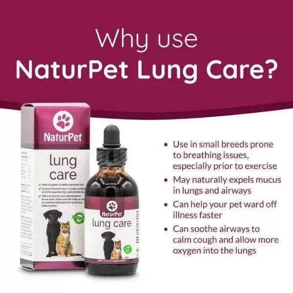 NaturPet Lung Care dropper bottle and box for small-breed dogs and cats, highlighting benefits like expelling mucus, soothing airways, and boosting immunity.