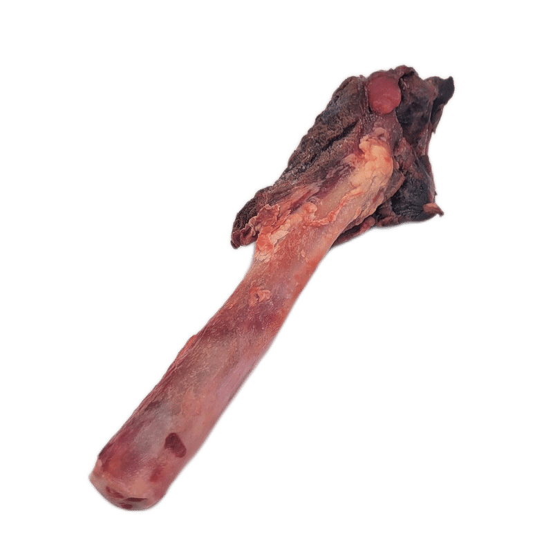 Back 2 Basics Big Dog Bull Pizzle Chew