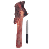 Back 2 Basics Big Dog Bull Pizzle Chew, a large beef femur with meat and fat, beside a Sharpie for scale; a chewy, low-fat dog treat.