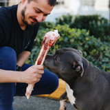 Raw Kangaroo Bone