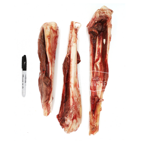 Raw Kangaroo Bone