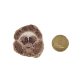 One Ingredient Kangaroo Tail Bites 200g shown as thin, transverse slices with visible spinal cord detail, alongside a Canadian loonie for size comparison.