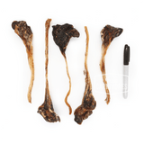 Kangaroo Tendon 150g: Six long, thin dried chews next to a marker for scale; natural, allergy-friendly dog treats, ideal for puppies and small to medium breeds.