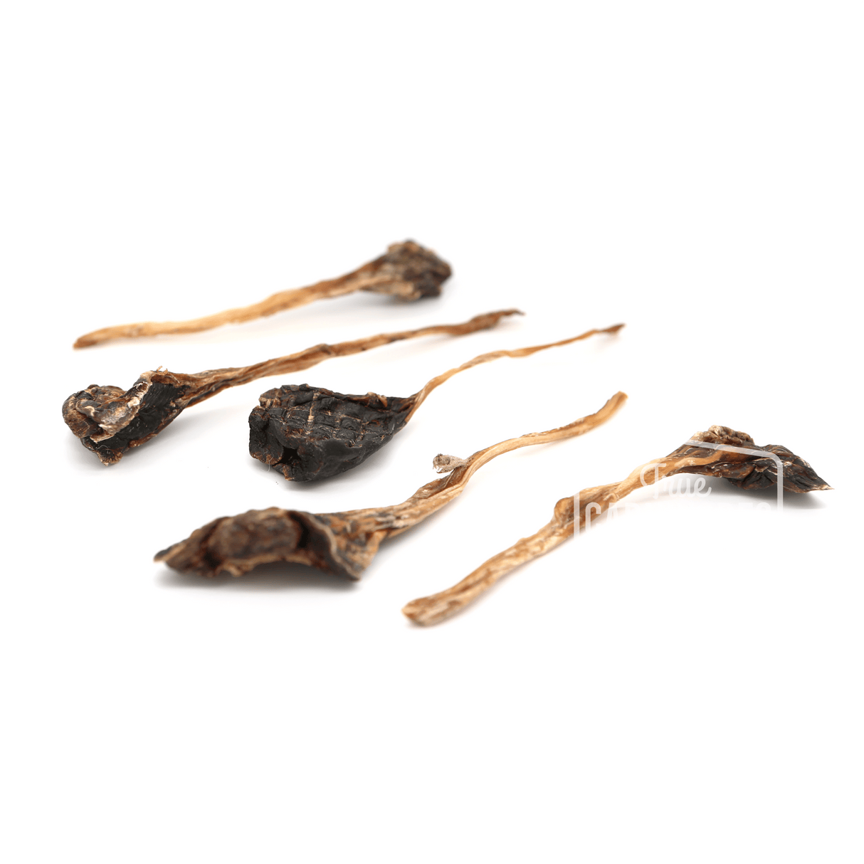 Kangaroo Tendon 150g: Six natural, dried kangaroo tendons on a white background, ideal for dogs with allergies, free of chemicals and preservatives.