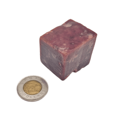 Back 2 Basics Pork Liver Cubes - 1lb Portion Pack shown as a dark-reddish-brown cube beside a Canadian toonie for size comparison.