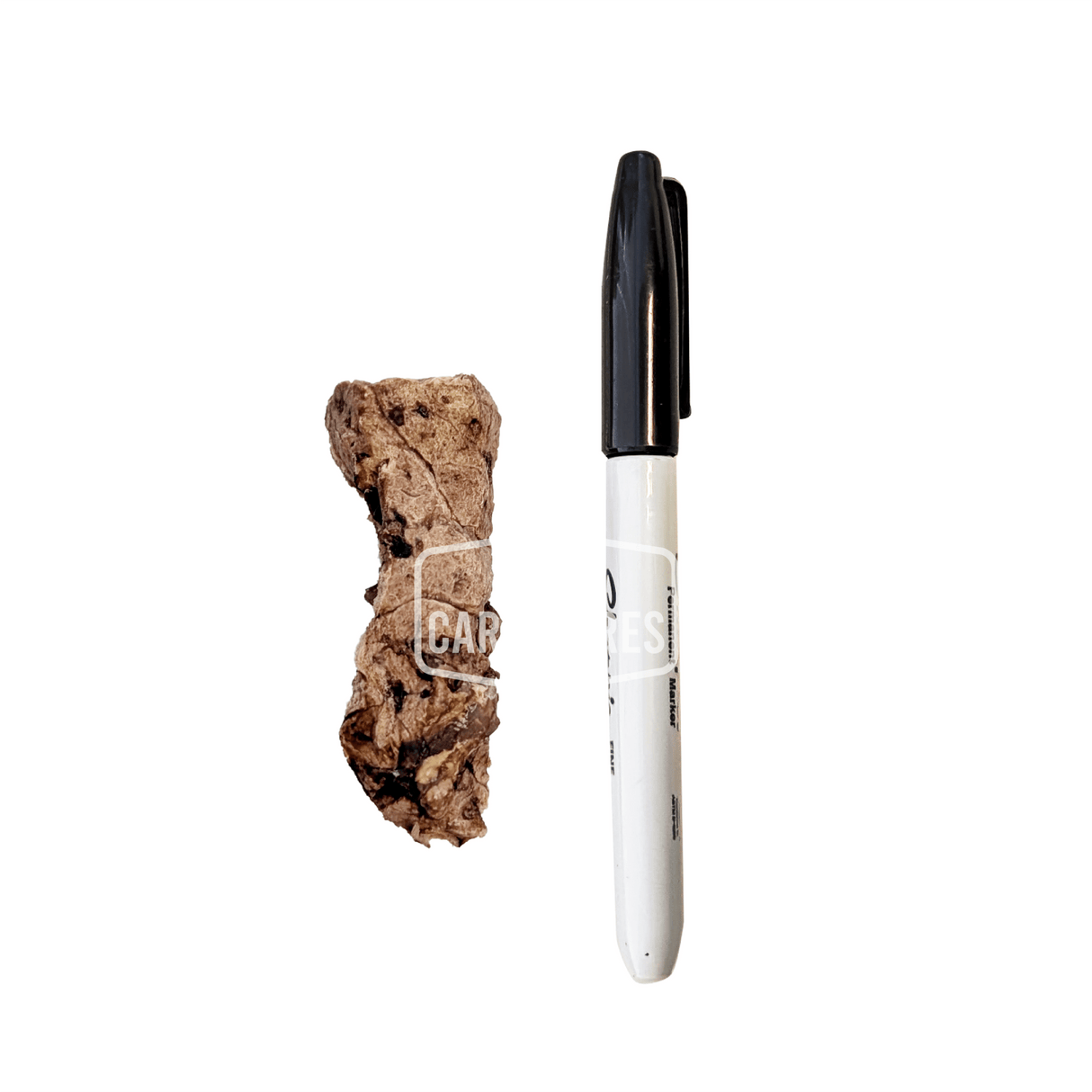 One Ingredient Pork Lung Nuggets beside a black-capped marker, showcasing their irregular shape, light, crunchy texture, and suitability as a low-fat dog treat.