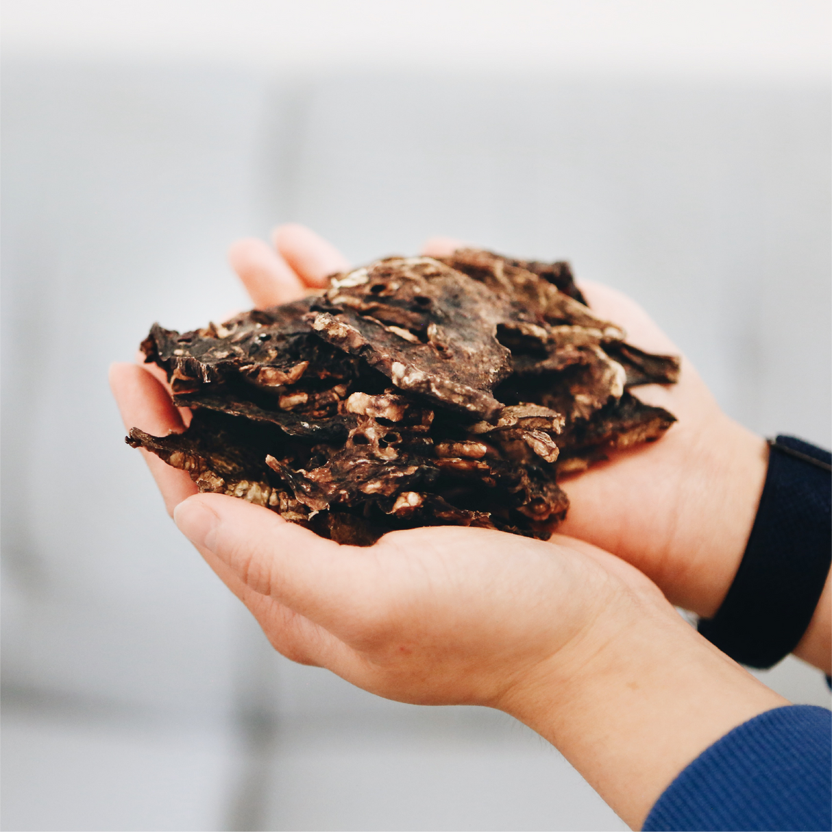 One Ingredient Pork Lung Thins 150g