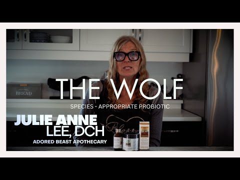 The Wolf Species Appropriate Liquid Probiotic - Roots by Adored Beast