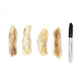 One Ingredient Rabbit Feet 100g *New Size*