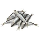Bulk Mini Sardines