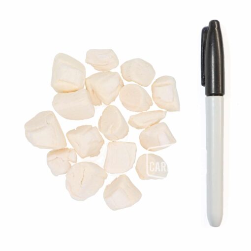 Cryogenically Freeze-Dried Scallops