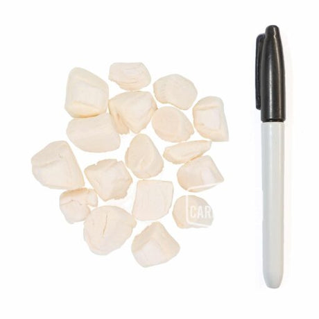 Cryogenically Freeze-Dried Scallops