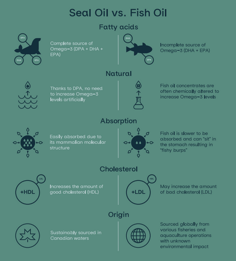 Carino Pets Omega 3 Harp Seal Oil, shown in a comparison chart with fish oil, highlights its complete Omega-3 profile, absorption, and sustainable Canadian origin.