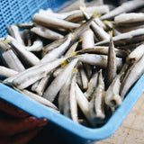 Back 2 Basics Freshwater Smelts