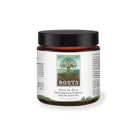 Small amber glass jar with black lid, labeled Soil & Sea Primordial Pre & Probiotics - Roots by Adored Beast, featuring a stylized tree design.