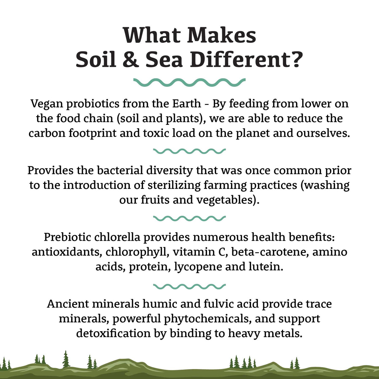 Infographic titled What Makes Soil & Sea Different? highlights vegan probiotics, bacterial diversity, prebiotic chlorella benefits, and ancient minerals in Soil & Sea Primordial Pre & Probiotics by Adored Beast.
