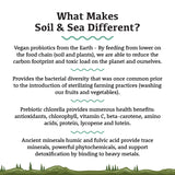 Infographic titled What Makes Soil & Sea Different? highlights vegan probiotics, bacterial diversity, prebiotic chlorella benefits, and ancient minerals in Soil & Sea Primordial Pre & Probiotics by Adored Beast.