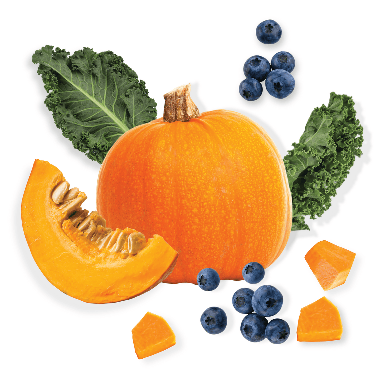 Back 2 Basics Antioxidant Blend features a whole pumpkin with cut wedge, cubes, kale leaves, and blueberries, highlighting its rich fibre and antioxidant content.