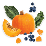 Back 2 Basics Antioxidant Blend features a whole pumpkin with cut wedge, cubes, kale leaves, and blueberries, highlighting its rich fibre and antioxidant content.