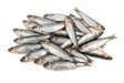whole mini sardine